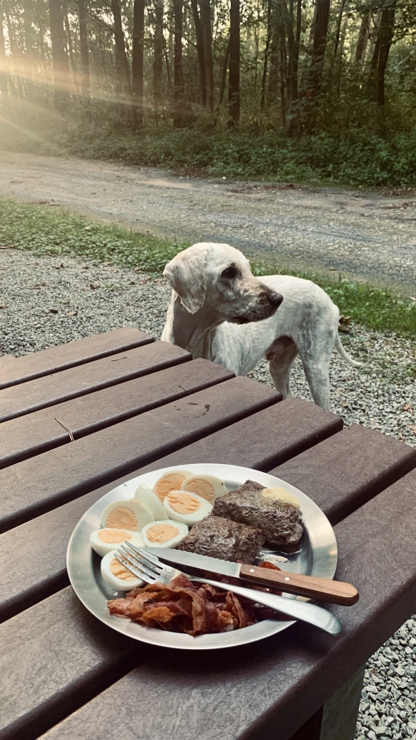 Carnivore dinner with Woof!