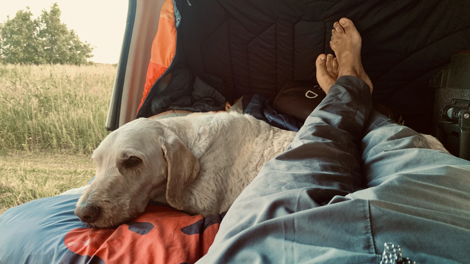 Chilling with Woof! and tonight’s view