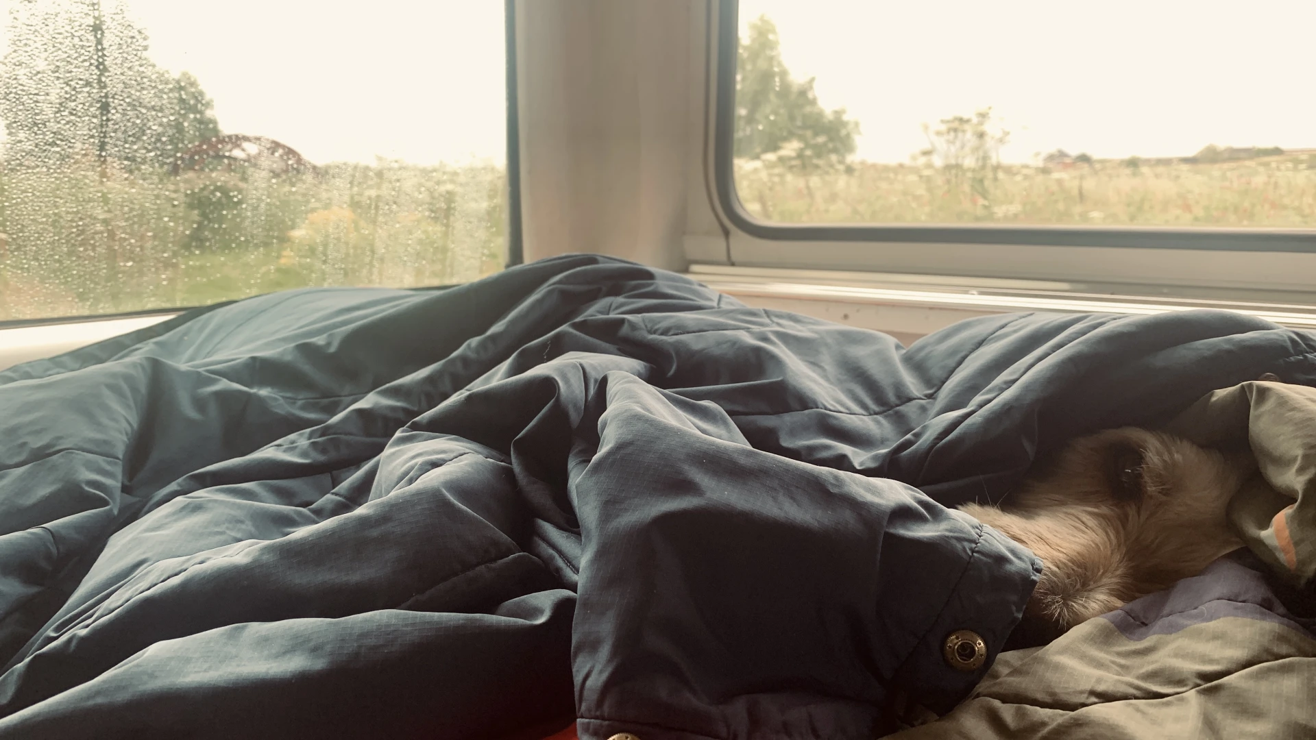 Cosy