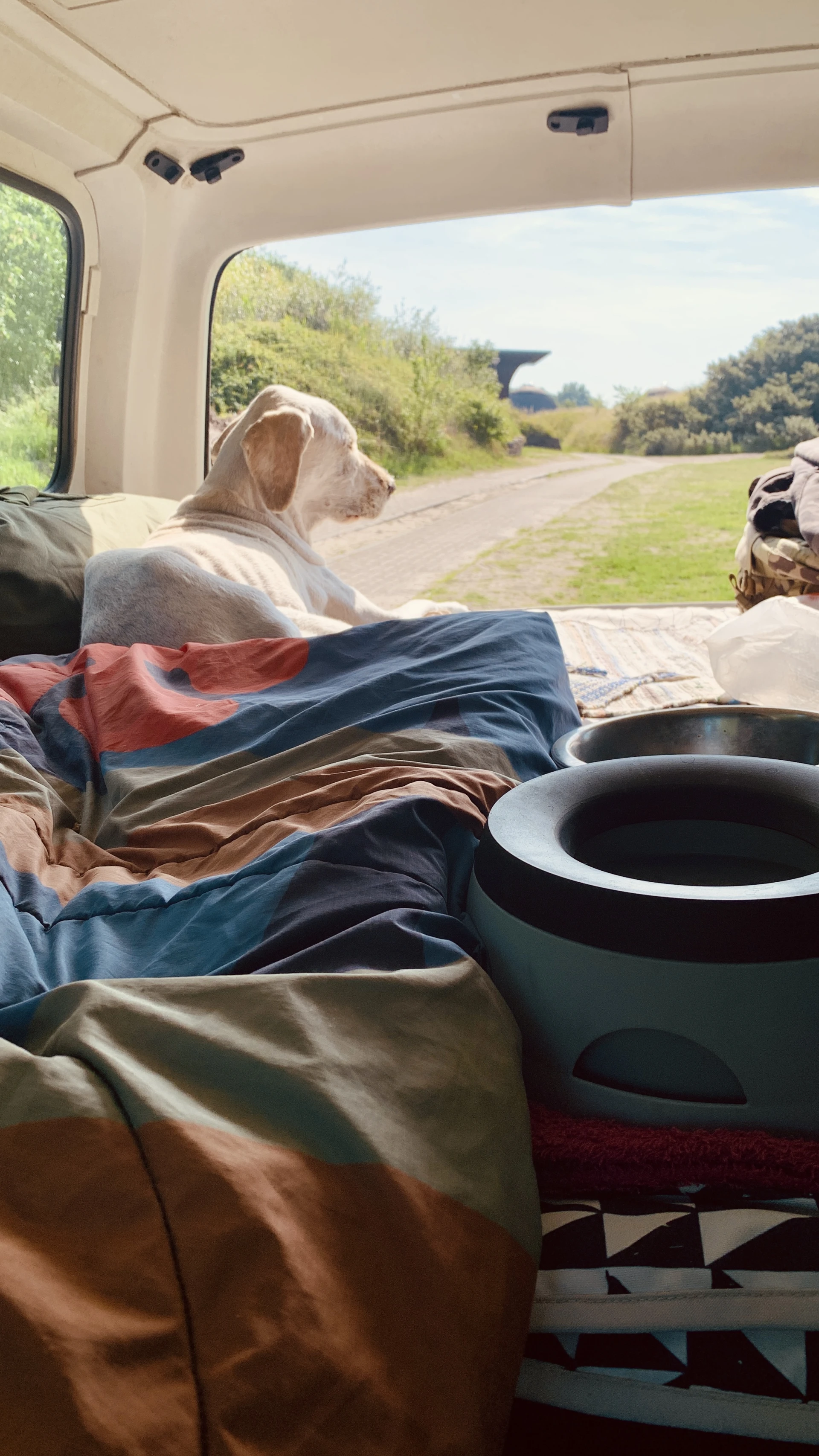 Friday, time to chill with Woof!