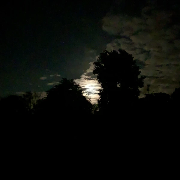 Good night