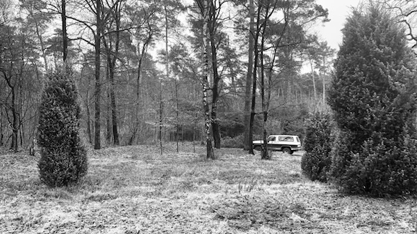 Hiding in plain sight