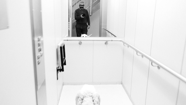 Is the autofocus on a Fujifilm camera good?