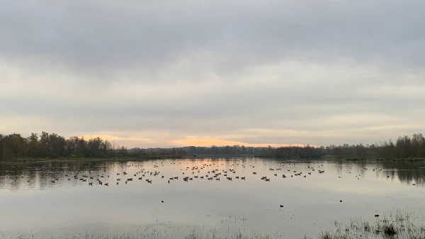 Mornings like this, just sit and ponder