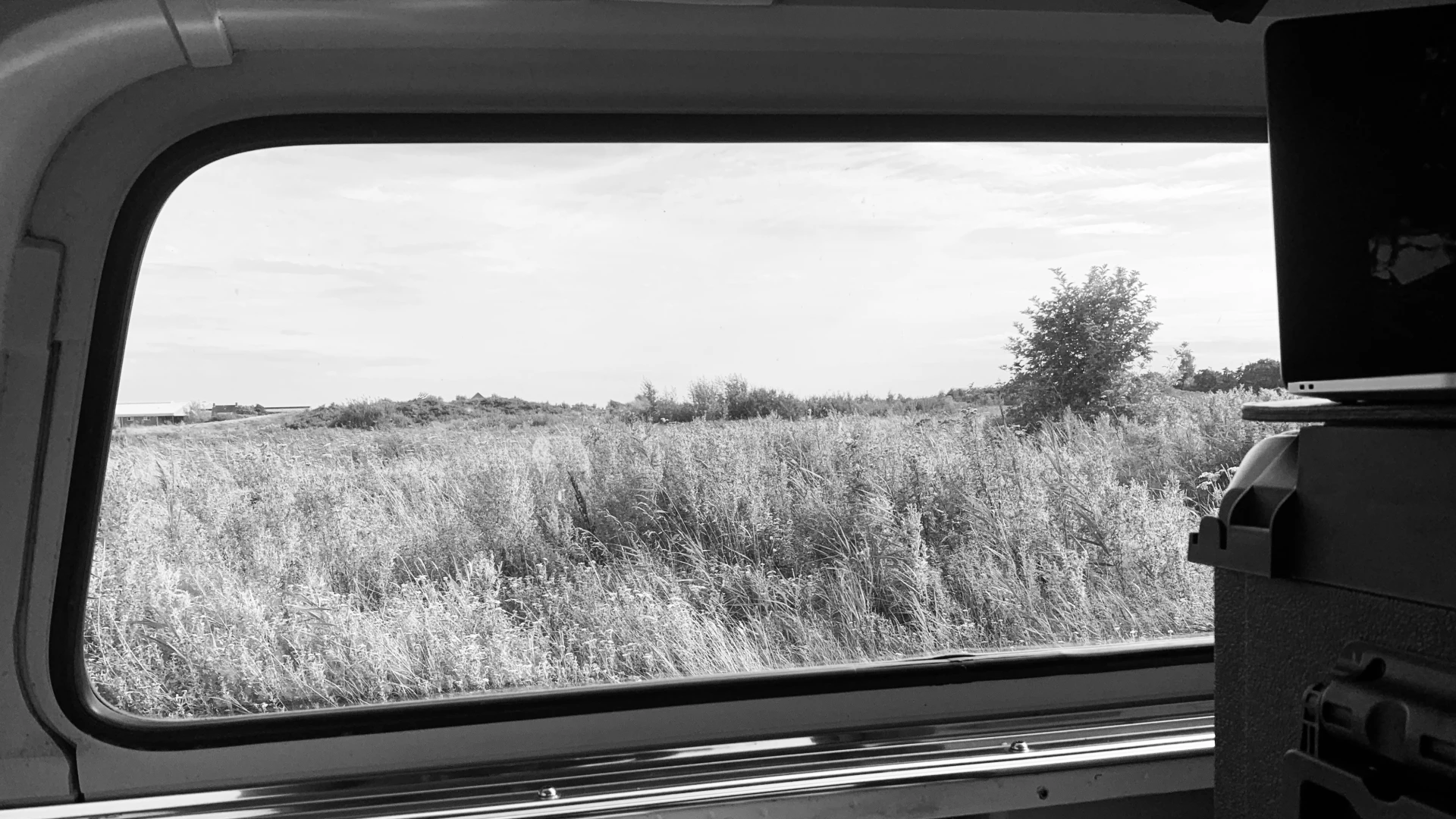 Room with a view
