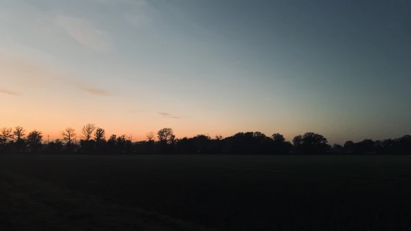 Shepard’s delight