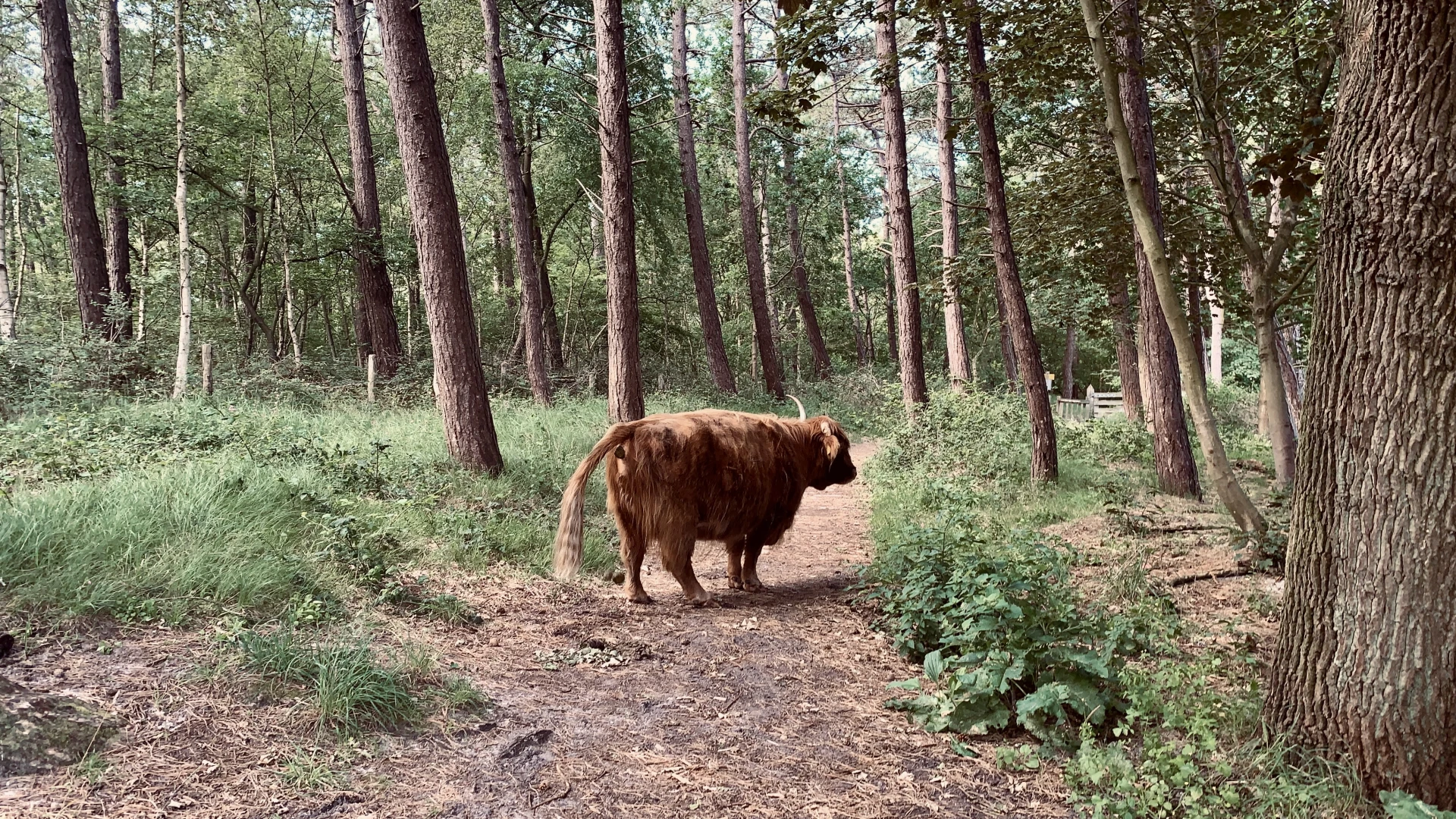 The blocked path