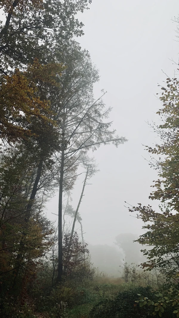 The fog will clear, keep going