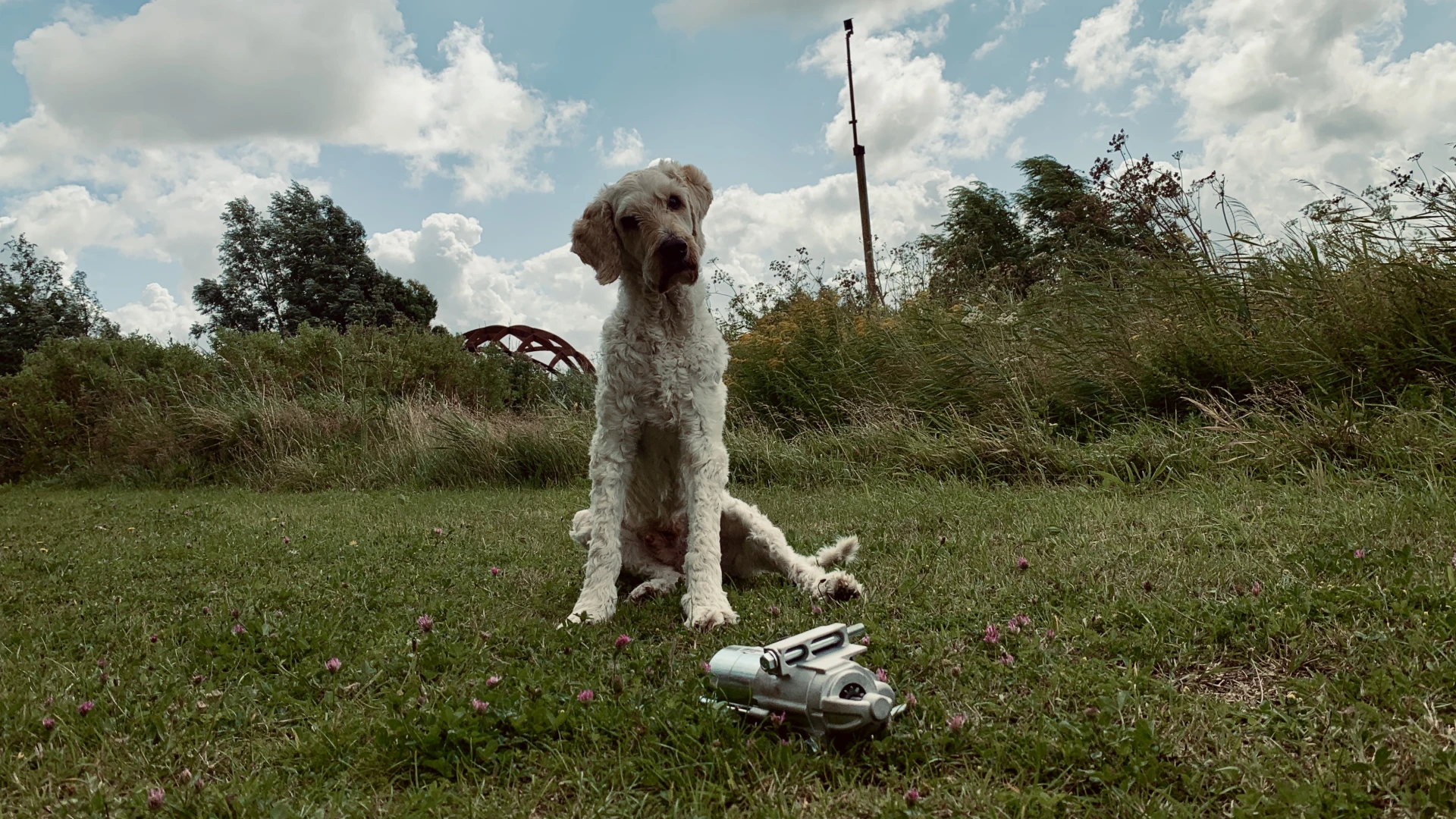 Today, we changed the starter motor on Chuck the Truck