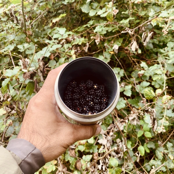 Tonight’s dessert foraged