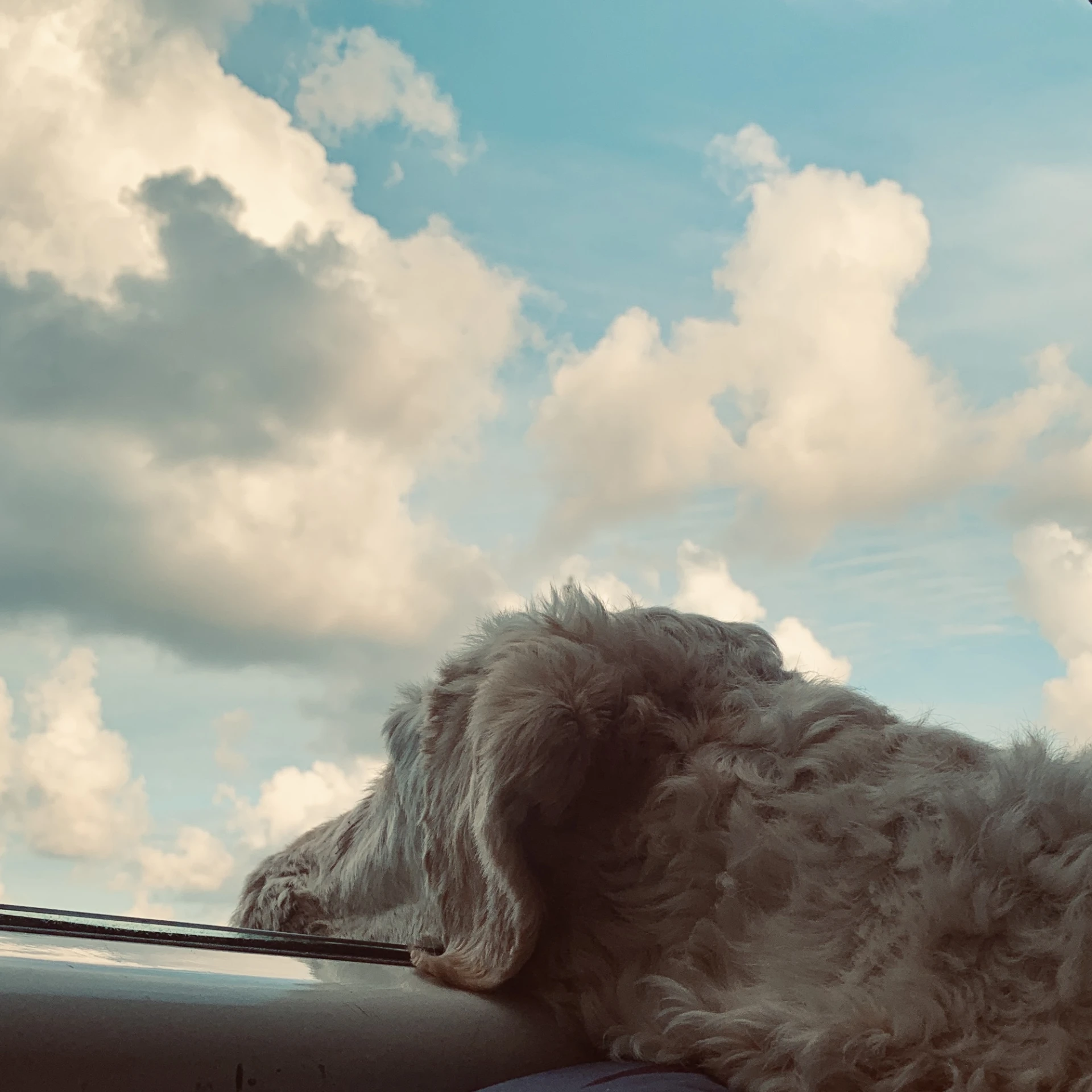 Watching the world go by