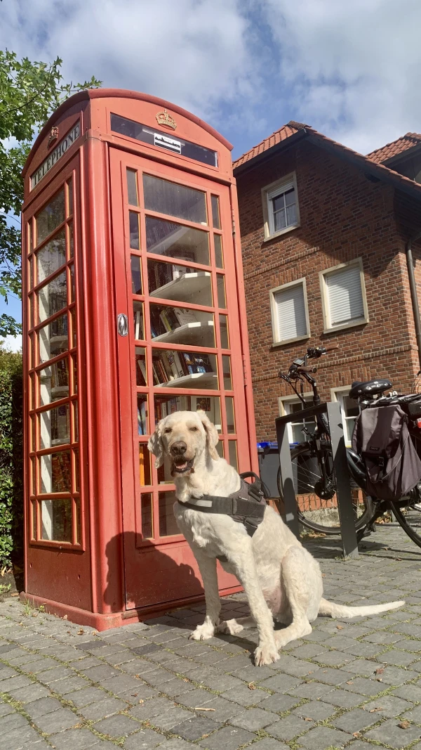 Woof! at the library