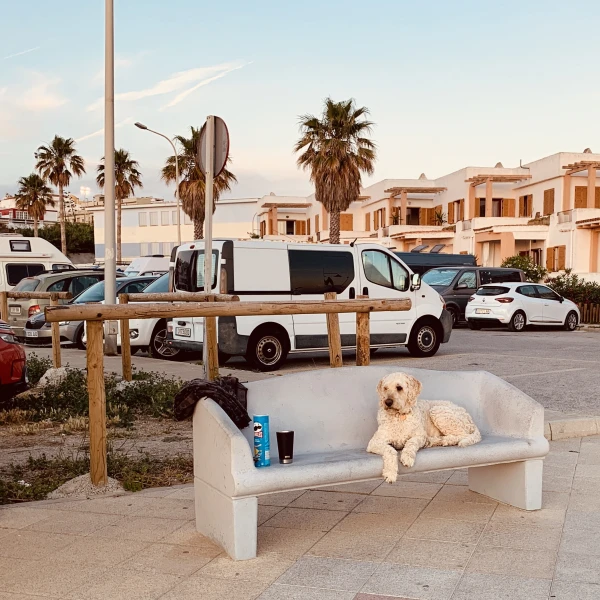 Woof! chilling in Tarifa 2022