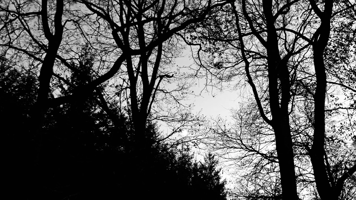 You're not the only silhouette