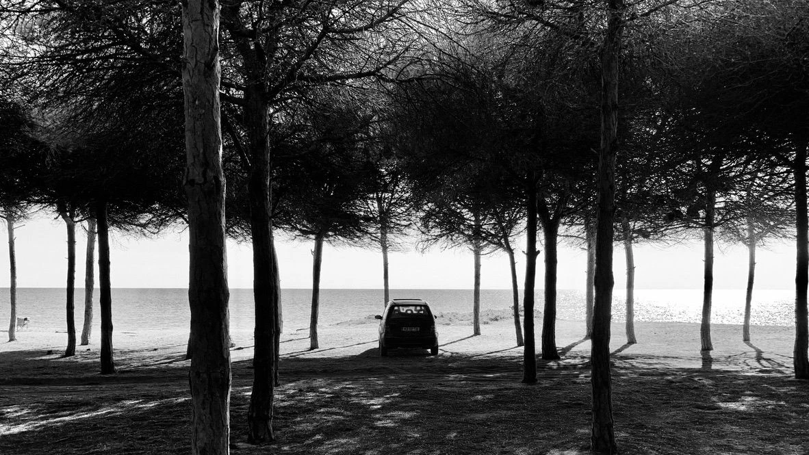 Technology should only be useful