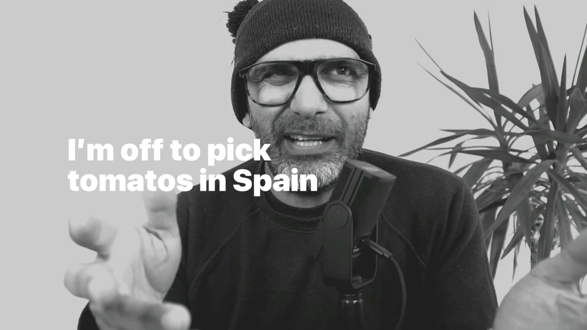Friday Fury: I'm off to pick tomatoes in Spain